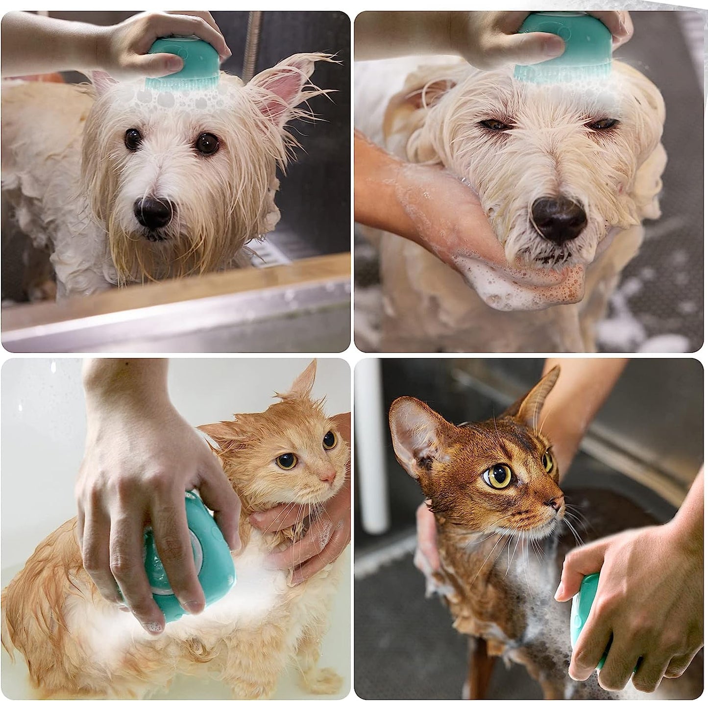 Soft Silicone Pet Bath Brush with Shampoo Dispenser for Dogs and Cats - Grooming and Shower Scrubber (Blue)